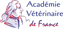 AVF